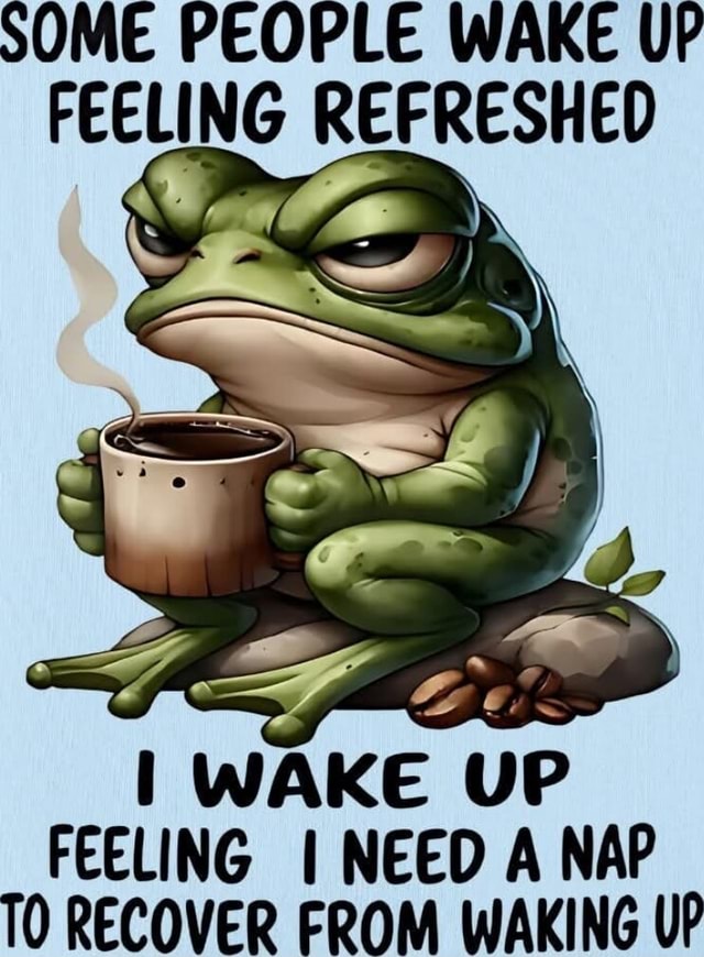 SOME PEOPLE WAKE UP FEELING REFRESHED I WAKE UP FEELING I NEED A NAP TO ...